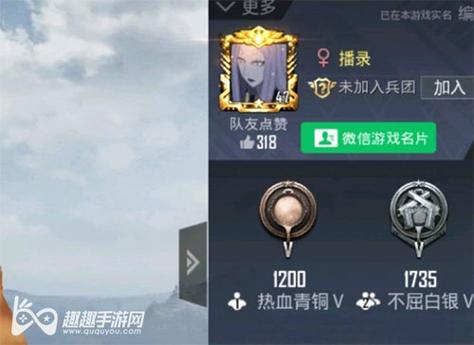 和平精英【灵凡内核工作室】辅助